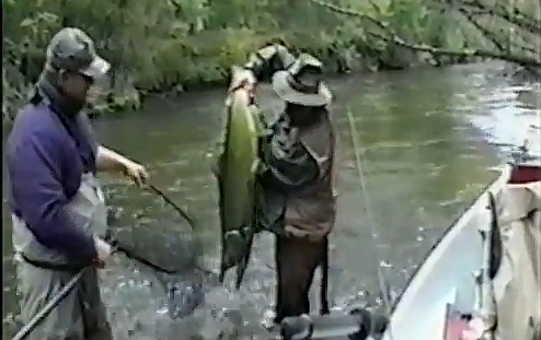 VIDEO: Fish release fail!